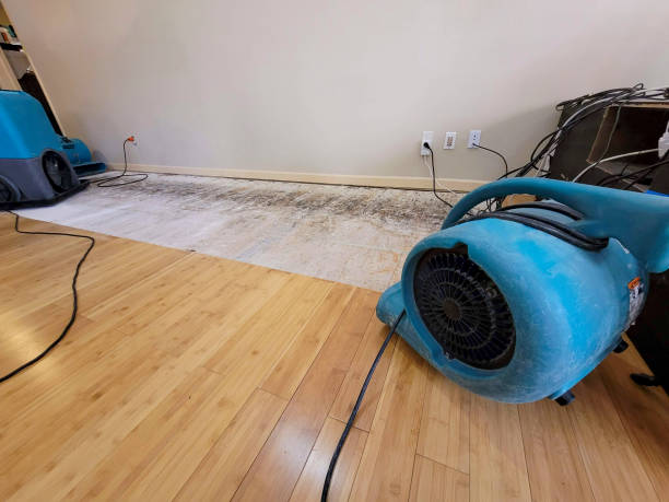 Reliable Crawl Space Water Removal contractor in Larkspur, CA by Hirex Water Damage