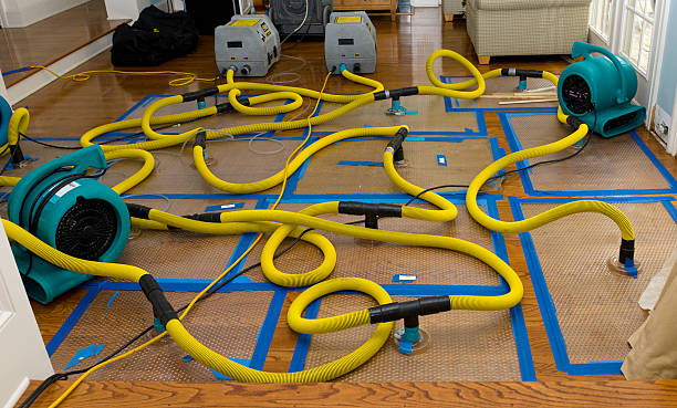 Professional Crawl Space Water Removal technician working in Larkspur, CA